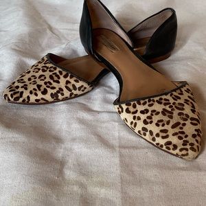 Halogen cheetah flats